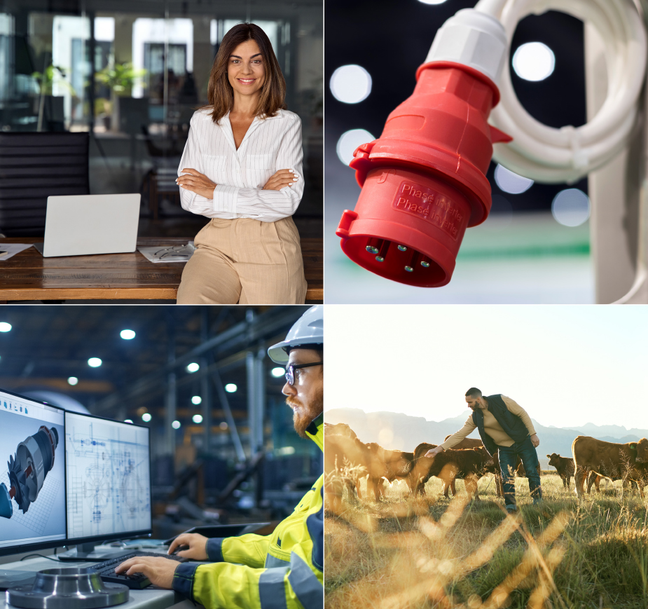 Illustration: Det bornholmske erhvervsliv i fire billeder.